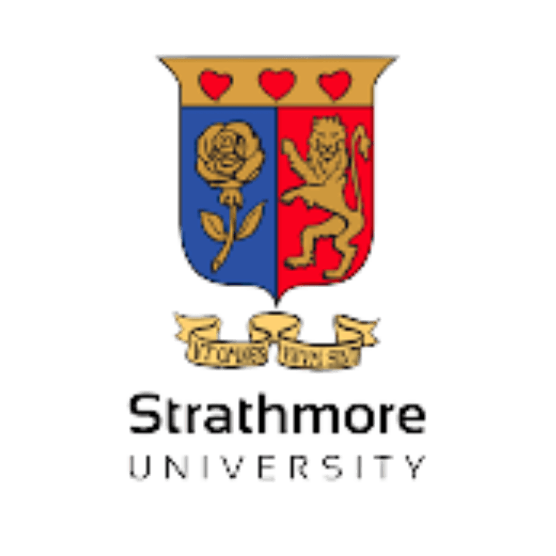 Partner; Strathmore University